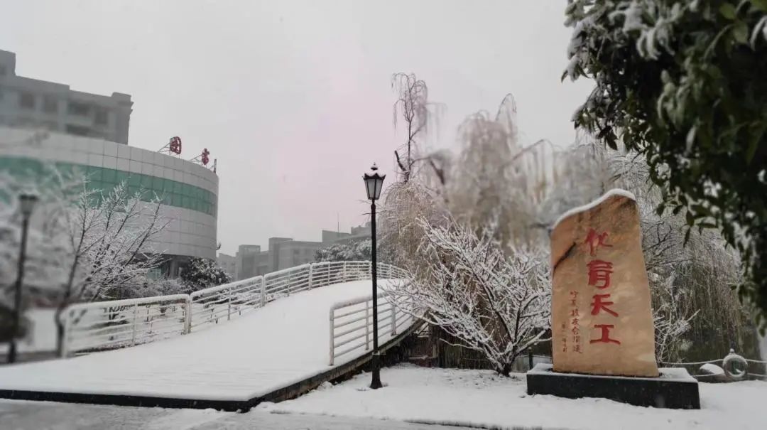 不骗你，工大这次被暴雪刷白了↑↑↑